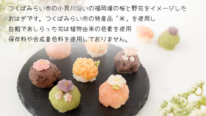 花あんおはぎ 9個入 おはぎ 和菓子 あんこ 小豆 白あん お菓子 花 プレゼント ギフト 贈り物 手土産 かわいい 手作り 創作 保存料不使用 合成着色料不使用