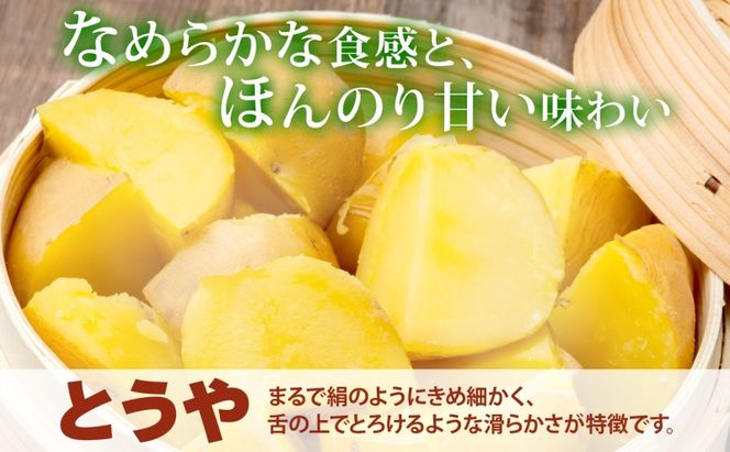 北海道 洞爺湖町産 新じゃがいも とうや 約10kg  Mサイズ以上混載 2026年10月初旬より順次出荷 北海道産 新じゃが じゃがいも ジャガイモ 馬鈴薯 旬 野菜 農作物 送料無料 産地直送 常温 洞爺湖町 