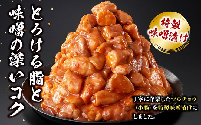 ＜訳アリ＞牛マルチョウ　特製味噌漬け　1.5kg(300g×5）【2026年8月発送】 141305_KZ31VC08