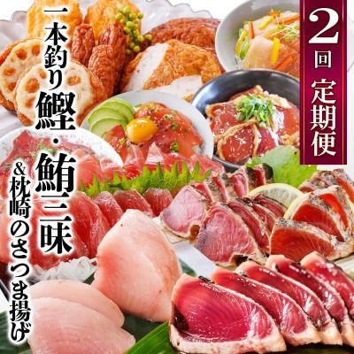 定期便(2回配送)一本釣りかつお・まぐろ三昧　(さつまあげも) DD-6005 【1166750】