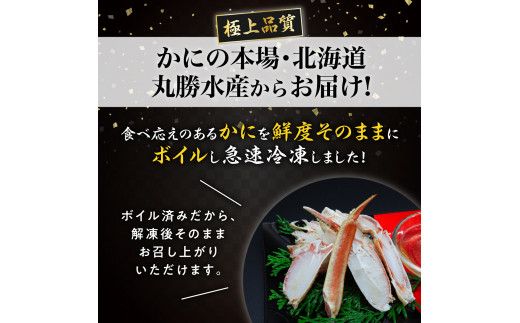 時期が選べる 殻付き 本ずわいがに 肩脚 2kg | ギフト 2026