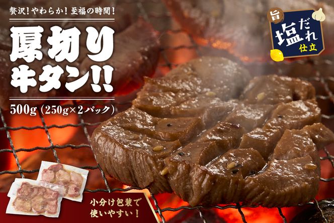 【訳あり】贅沢！やわらか！至福の時間！！厚切り塩だれ牛タン！！500g（250g×2パック）（2026年1月上旬～発送）　YK00464