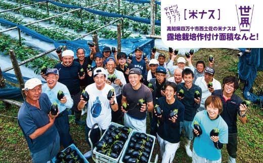 39210-002-0013．【期間限定】デカ！ピカ！ツル！しまんとにしとさ米ナス9玉（約2.7kg）【2026年5月下旬～10月下旬まで発送】