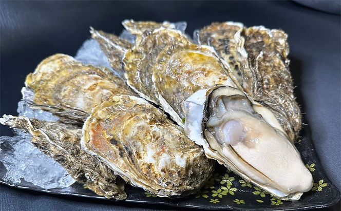 北海道 厚岸産 殻付き 牡蠣 Lサイズ 30個 魚貝類 生牡蠣 海鮮 海の幸 生食用牡蠣 生食用 生食用殻付き牡蠣 濃厚 甘み マルえもん オイスター 
