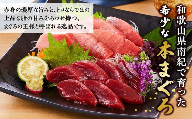 本マグロ（養殖）トロ＆赤身セット 1kg［KS13］ 303446_BA1003