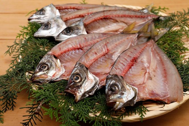 【一本釣り 匠の漁】天然アジ・三崎サバ一夜干しセット（各2枚） IKTJ005