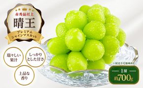 ぶどう 2026年 先行予約 【プレミアムシャインマスカット 晴王 1房 約700g】 赤秀品以上  岡山県船穂産 葡萄 ブドウ ギフト ハレノフルーツ 皮ごと食べる みずみずしい