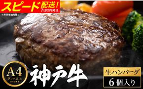 神戸牛 生ハンバーグ （100g×6個） 【帝神志方ミート】