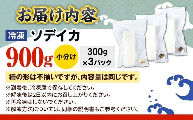 冷凍セーイカ (そでいか) 900g (300g ×3パック) 沖縄市 / 沖縄市漁業協同組合 パヤオ直売店[BCDZ008]