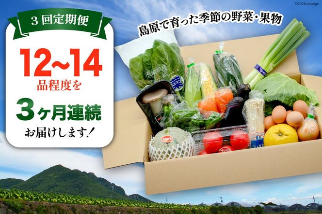 BF057 【3回定期便】旬の野菜・フルーツ (12〜14品目)・卵 (6個) おまかせ セット【 野菜 果物 卵 やさい くだもの 果物 タマゴ たまご 詰め合わせ 江戸屋 長崎県 島原市 】