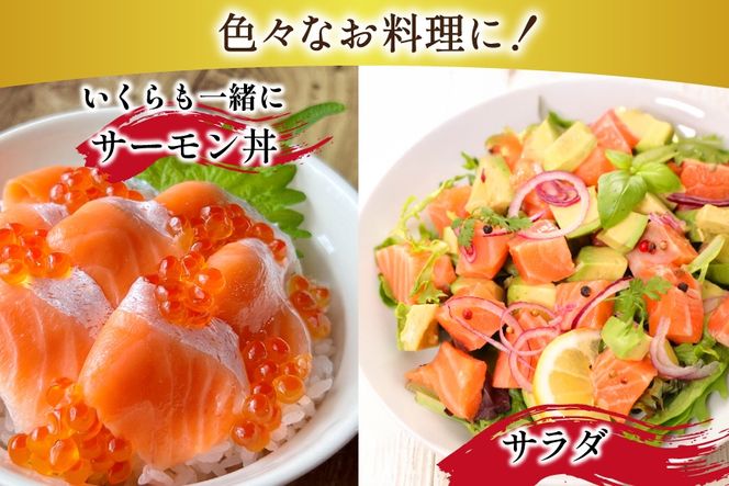 訳あり トロサーモン 切り落とし 1kg (125g×8p) 無添加 個包装 [足利本店 宮城県 気仙沼市 20565737] 魚介類 魚 サーモン 海鮮 鮭 トロ お刺し身 おさしみ 刺し身 刺身 ノルウェー アトランティックサーモン 小分け 冷凍 訳アリ