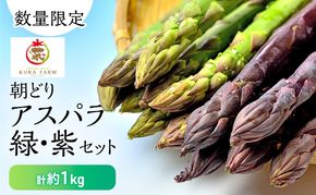 【2026年5月より発送】北海道 富良野市産 アスパラ 緑(LMサイズ混合)・紫(LMサイズ混合 ) 計約1kg セット 食べ比べ 朝どり 露地 アスパラガス 詰め合わせ 野菜 新鮮 数量限定 先着順【藏ファーム】