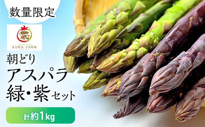 【2026年5月より発送】北海道 富良野市産 アスパラ 緑(LMサイズ混合)・紫(LMサイズ混合 ) 計約1kg セット 食べ比べ 朝どり 露地 アスパラガス 詰め合わせ 野菜 新鮮 数量限定 先着順【藏ファーム】