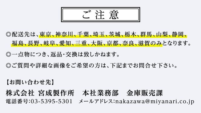 ゴールドセーフ Ｓ-Ａ