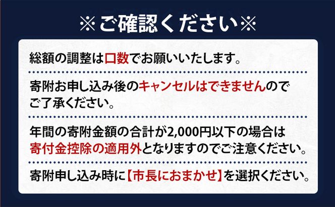 北海道 赤平市 寄附のみの応援受付 95,000円コース（返礼品なし 寄附のみ 95000円）