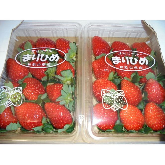 【1月発送】和歌山県産 まりひめ いちご 1箱約1.2kg（300g×4パック）ブランドいちご 