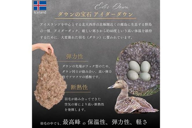 ＜京都金桝＞最高峰 アイダーダウン95% 羽毛合掛けふとん キング 1.3kg ＜羽毛布団 羽毛ふとん 掛け布団 アイダー 高級 国産 日本製 シルク 絹 寝具＞｜モナク