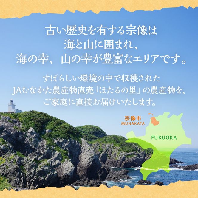 何が届くかお楽しみ！むなかた旬のフルーツ福袋定期便【年4回】【JAほたるの里】_HB0165