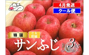 鶴田町　25年3月おすすめ返礼品！雪国の鮮度を閉じ込めた！【クール便】4月発送 白熊 特選 サンふじ 絆 約3kg 糖度13度【青森りんご・ 果物 フルーツ 食後 デザート シャキシャキ ジューシー りんごの王様 】