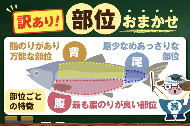 【訳あり】アトランティック サーモン ハラス＆カマ＆中骨 バラエティセット500g(500g ×1P)【SS0000HY0】 
