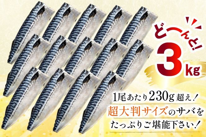 訳あり トロ塩サバ フィレ LLサイズ 3kg ★フィレ1枚230g超え！[足利本店 宮城県 気仙沼市 20565620] 魚介類 魚 海鮮 鮮魚 サバ さば 鯖 サバフィレ サバフィーレ 鯖フィレ トロサバ 訳アリ わけあり 切り身 冷凍