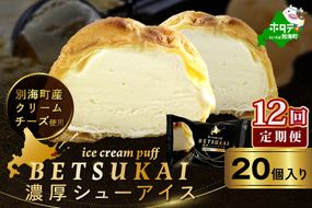 北海道 別海町 【12か月定期便】 BETSUKAI 濃厚 シューアイス 20個 セット【NSM120002】
