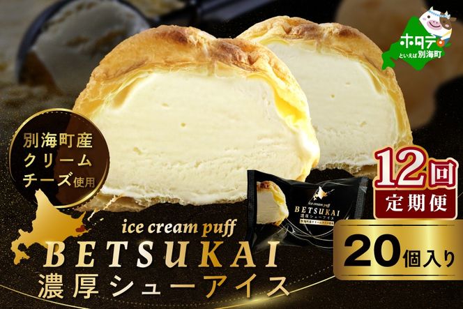 北海道 別海町 【12か月定期便】 BETSUKAI 濃厚 シューアイス 20個 セット【NSM120002】