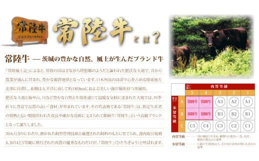 常陸牛肩ロースしゃぶしゃぶ用　500g ( 茨城県共通返礼品 ) [AZ004us]