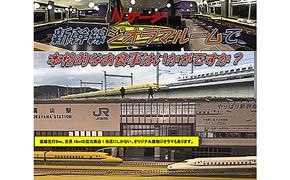 Nゲージルーム五つ星　鑑賞＆お食事券 チケット 