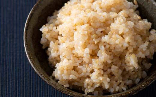 FYN6-289 令和7年度 山形県産 雪若丸 玄米 5kg お米 米 ごはん ご飯 げんまい 銘柄米 ブランド米 2025年 自宅 家庭 贈り物 プレゼント 贈答 ギフト 食品 山形県 西川町 月山