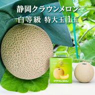 クラウンメロン【並（白等級）】特大玉（1.5kg前後）1玉入り 人気 厳選 ギフト 贈り物 デザート グルメ 果物 袋井市 果物類 メロン青肉 フルーツ