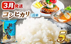 ＼3月発送分／ コシヒカリ 白米 5kg / 脇野コンバイン[AECP021-7]
