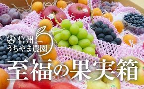 【夏に届く】至福の果実箱E 特大箱 (4～7種類) (500g以上のシャインマスカット1房が必ず入ります) 《信州うちやま農園》■2025年発送■※8月上旬頃～9月上旬頃までの順次発送予定