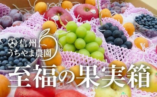 【夏に届く】至福の果実箱E 特大箱 (4～7種類) (500g以上のシャインマスカット1房が必ず入ります) 《信州うちやま農園》■2025年発送■※8月上旬頃～9月上旬頃までの順次発送予定