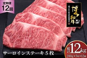 肉 博多和牛 サーロインステーキ 200g 5枚 計 1kg 12回 定期便 総計 12kg [久田精肉店 福岡県 宇美町 um40bsi440023] 牛 牛肉 サーロイン ステーキ 和牛 ソース ソース付き 福岡県産 冷凍