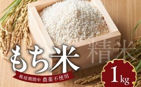 もち米1kg N0182-YA0474