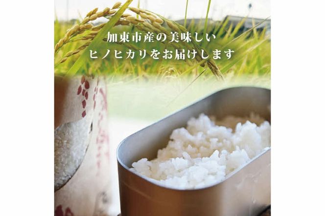 お米 令和7年産 ヒノヒカリ 白米5kg [ こめ 米 コメ 扇ファーム 加東市産 兵庫県加東市 加東市]