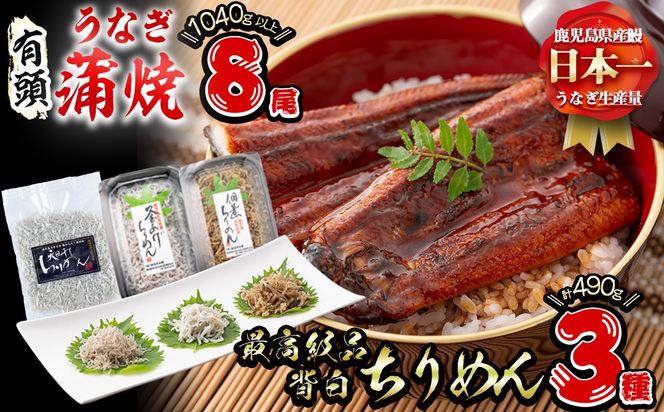 極うなぎ蒲焼130g以上×8尾(計1040g以上)+佃煮ちりめん90g+釜揚げちりめん100g×3個+ちりめん100g e7-020