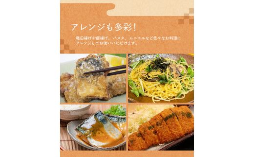 【全12回定期便】骨無し 無添加 塩さば 切身 約1.25kg（250g×5パック 20枚）/ さば 塩さば 冷凍 おかず 魚 お魚 魚介 海鮮 安心 人気 大容量 小分け 【tkb323A】