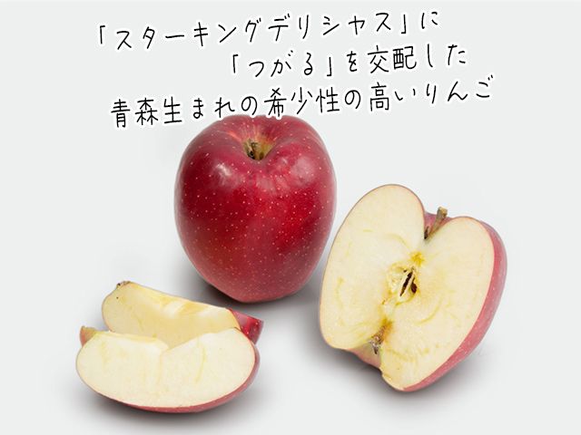 りんご 青森 おいらせ リンゴ 約 5kg (6～10玉) 青森県 鰺ヶ沢町産 ヒバリノ園 フルーツ 果物 果物類 白神山地 林檎 ※オンライン決済のみ 