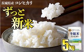 令和8年産 コシヒカリ 冬眠米 5kg（5kg×1袋） | 茨城県産 白米 精米 ごはん お米 冬眠 とうみんまい ブランド米 検査米 単一原料米 国産 守谷市 送料無料