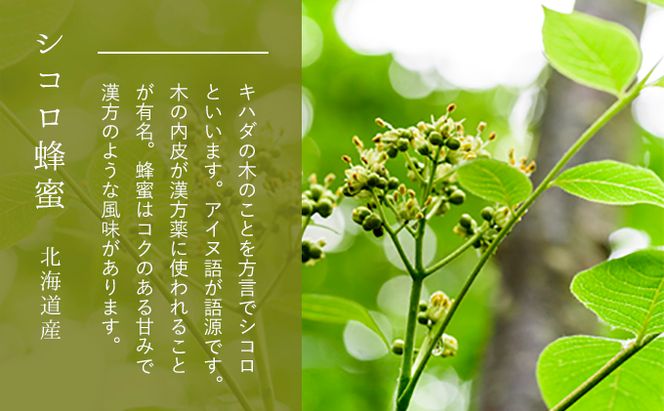 【国産純粋蜂蜜】北海道産 はちみつ5種食べ比べ 2.5kg (500g×5本) アカシア・クローバー・シコロ・シナ・オオハンゴウソウ［ナルセ養蜂場］【 はちみつ ハチミツ 蜂蜜 ハニー 健康 美容 料理 純粋 ギフト プレゼント 詰め合わせ 北海道 十勝 幕別 】