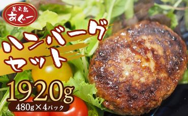 【美ら島あぐー】ハンバーグ4個入り　1920g（480g×4パック） 合計16個 あぐー 黄金比率 沖縄 大宜味村 豚肉 小分け 国産 おつまみ こだわり ぶた アグー 加工品 おいしい 美味しい 取り寄せ 肉 豚 冷凍 まろやか 旨味