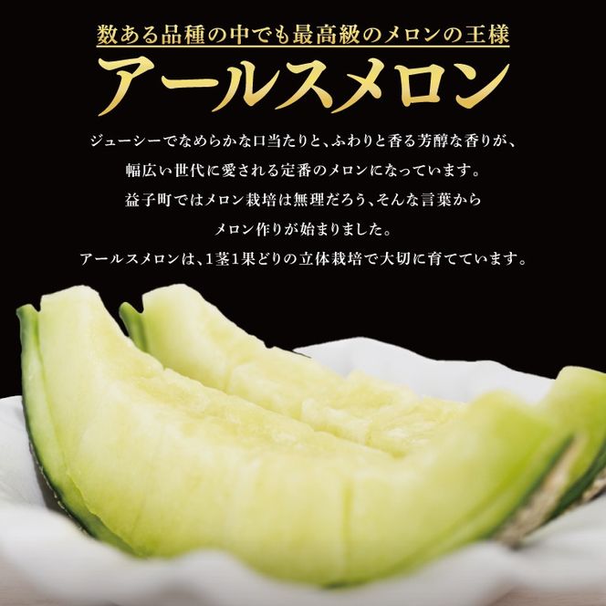 【数量限定】アールスメロン1玉｜青肉・高糖度｜なめらかで上品な甘さ｜メロンの王様｜メロン　ご褒美　デザート　ギフト　益子町　（AA040）