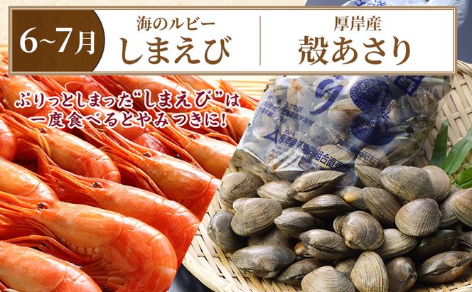 厚岸旬のふるさとセット 年6回お届け (牡蠣、毛蟹、生時しらず、しまえび、あさり、さんま、ほっき 等)
