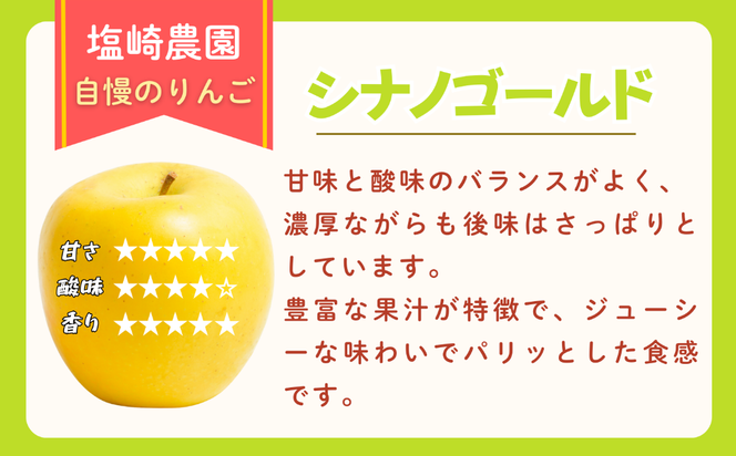 【先行予約丨2026年10月下旬より順次発送】シナノゴールド【約3kg (6〜12玉)】(At-014)丨長野県 飯山市 おすすめ ランキング おいしい 高評価 大人気 先取り 産地直送 りんご