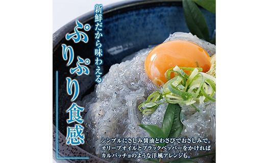 豊洋丸の鮮度抜群！ 生しらすセット (計200g・100g×2個) 冷凍 しらす しらす丼 丼ぶり 魚 さかな ご飯 ごはん 炒飯 チャーハン パスタ サラダ 国産 大分県 パック 小分け 便利 大分県 佐伯市【HK01】【OITAしらすhoyomaru豊洋丸】