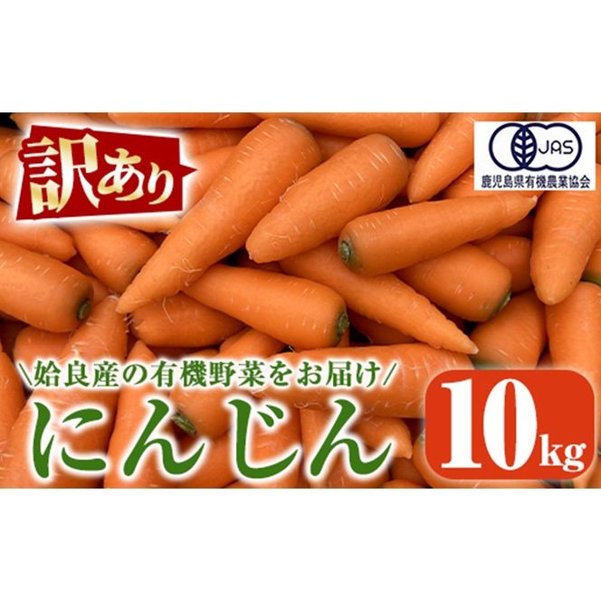 yǎsza992 s󂠂tss\tI2025N12{`2026N3{ɔ\tL@lQ (10kg)y_zǎs Y L@͔| L@  ₳ ɂ񂶂 jW A