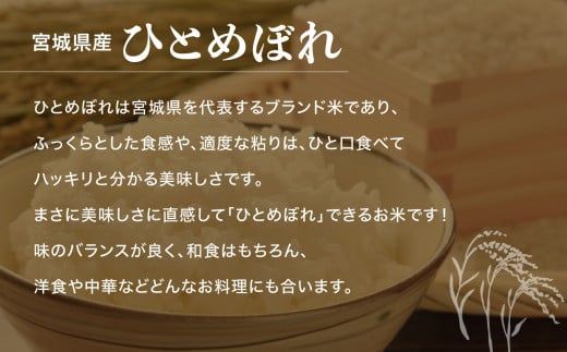 無洗米 令和7年度産 宮城 ひとめぼれ 80kg ｜ 菅原精米工業 宮城県 加美町 sw-hb80-mu-r7