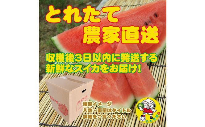 1254.【先行予約】鳥取スイカの食べ比べ！2玉セット（赤肉すいか＆金色羅皇） 313726_CK005